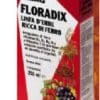 FLORADIX FERRO E VITAMINE 250 ML