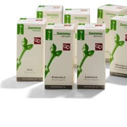 AGNOCASTO MACERATO GLICERICO 100 ML