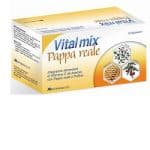 VITALMIX PAPPA REALE 10 FLACONI DA 10 ML