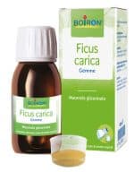 FICUS CARICA BOIRON MACERATO GLICERICO 60 ML