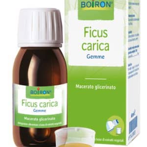 FICUS CARICA BOIRON MACERATO GLICERICO 60 ML
