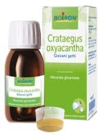 CRATAEGUS BOIRON MACERATO GLICERICO 60 ML