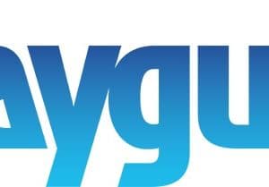 DAYGUM INSTA WHITE 22 G