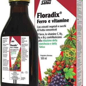 FLORADIX FERRO E VITAMINE 500 ML