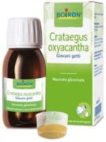CRATAEGUS OXYACANTHA 60 ML TINTURA MADRE