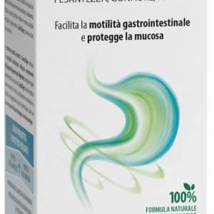 GASTRODIGER SCIROPPO 180 G